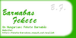 barnabas fekete business card