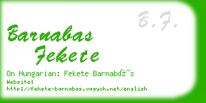 barnabas fekete business card